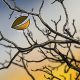 Balancer Proposes Wind-Down After Revenue Falls Short