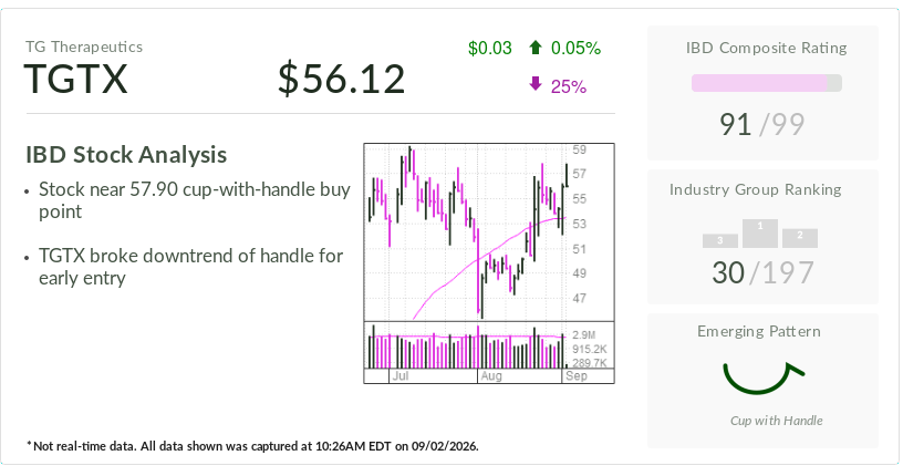 TG Therapeutics, Stock Of The Day, Eyes Breakout After Topping Early Buy Point