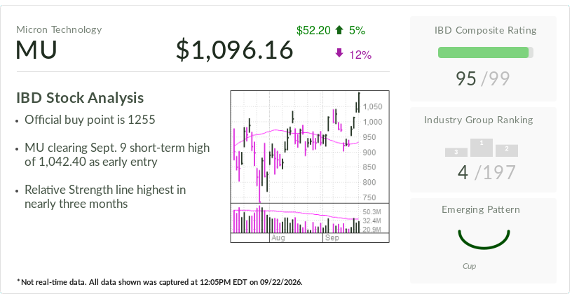 Stock Of The Day: Micron Surges Past Early Buy Point With Earnings Due