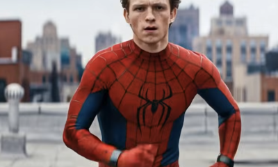 spiderman brand new day