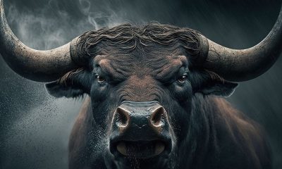 Very angry bull looking straight at the camera. Composite with different elements made with generative AI