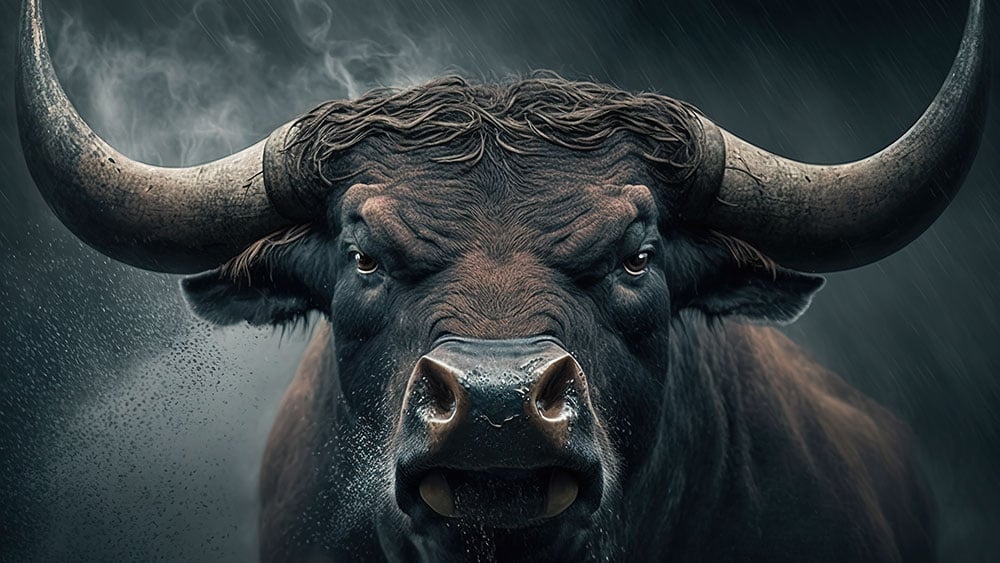 Very angry bull looking straight at the camera. Composite with different elements made with generative AI