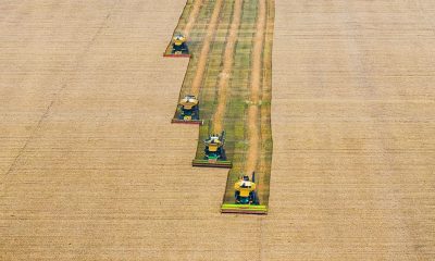 This Sector Is Fertile Ground For Buy Opportunities