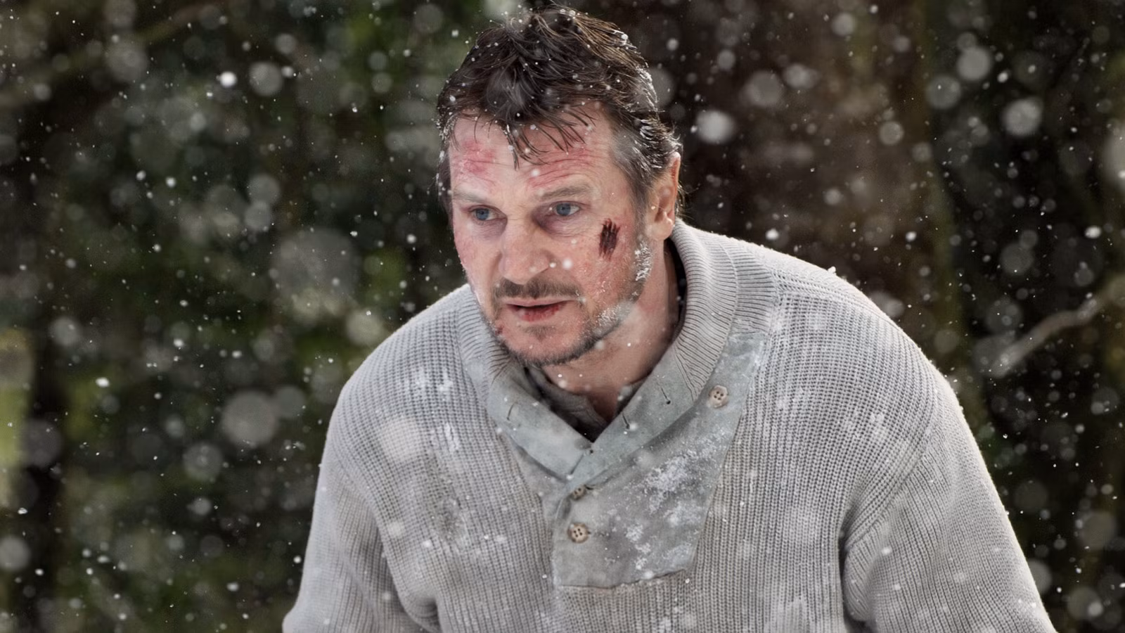 the-grey-liam-neeson