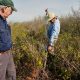 In North Carolina, a race is on to restore critical peatland before it dries up or is destroyed