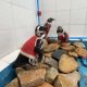 Copper vests help Chile's penguins heal