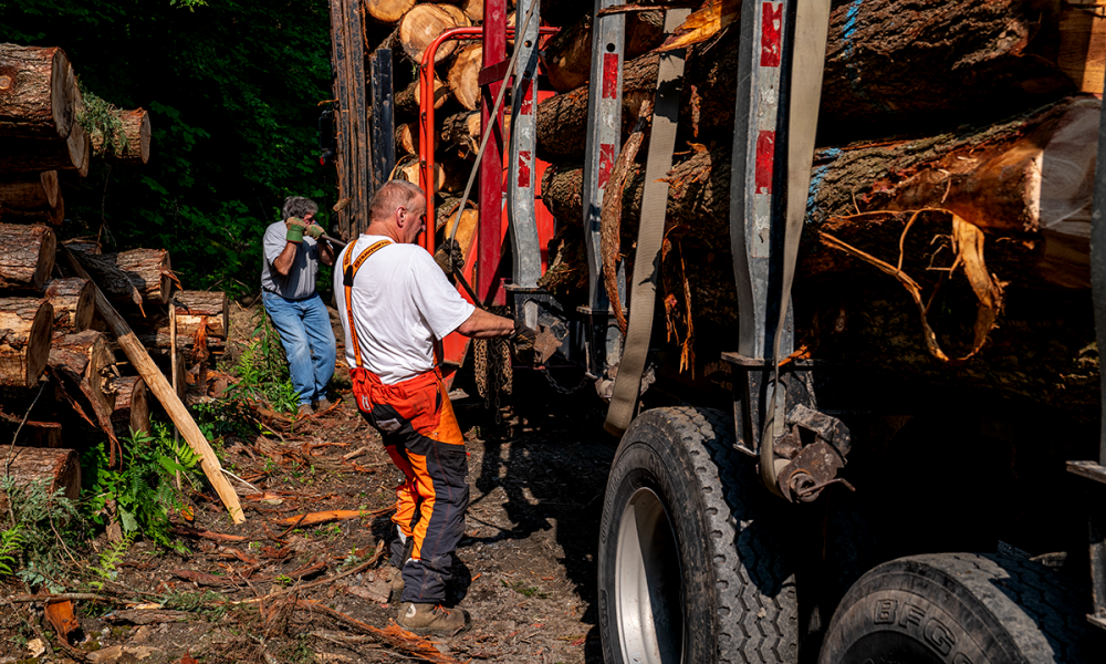American Loggers Council urges diesel export ban to cut fuel costs