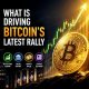 Crypto Breaking News