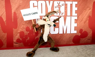 'Coyote vs. Acme' fought against its own studio to make it movie theaters