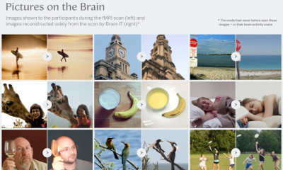 Brain IT AI model pictures grid