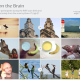 Brain IT AI model pictures grid