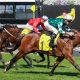 FLEMINGTON 12 9 2026 RACE 4 PARADOXIUM 12 scaled 1 945x579