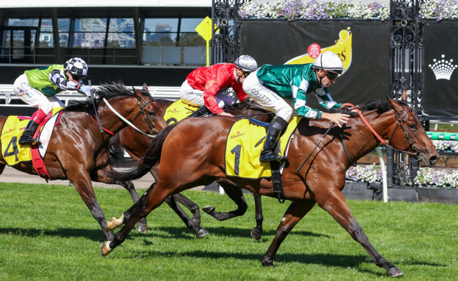 FLEMINGTON 12 9 2026 RACE 4 PARADOXIUM 12 scaled 1