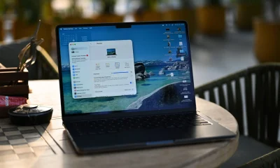 MacBook Air screen with trees in background scaled