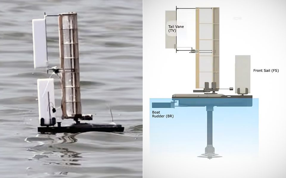 alabatross robot maple seed rotation sail