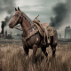warhorse cyberattack