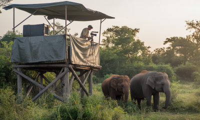 wildlife filming technology