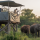 wildlife filming technology