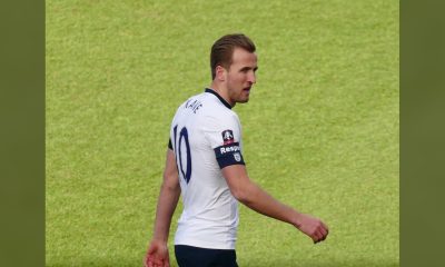 kane knighthood