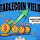 Best stablecoin yield in 2026: 6 ways to earn on USDT and USDC, ranked by where the money comes from - 3