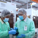 malaysian companies building ecosystem powering ai growth 2 1024x536