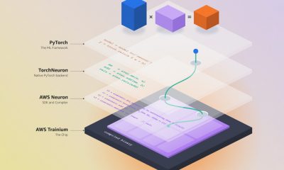 torchneuron crop2